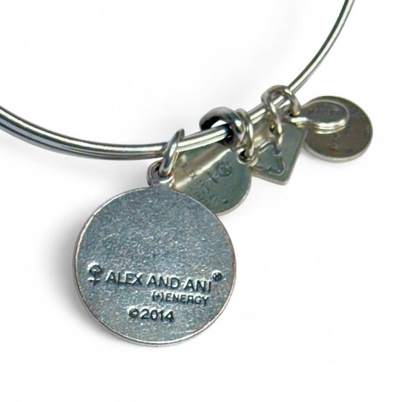 Sunburst Energy Charity Silver Tone Charm Bracelet by Alex and Ani 2014 - Picture 3 of 3